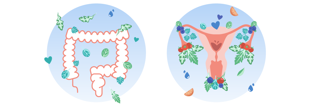 How a Gut-Healthy Approach Improves PCOS Symptoms!